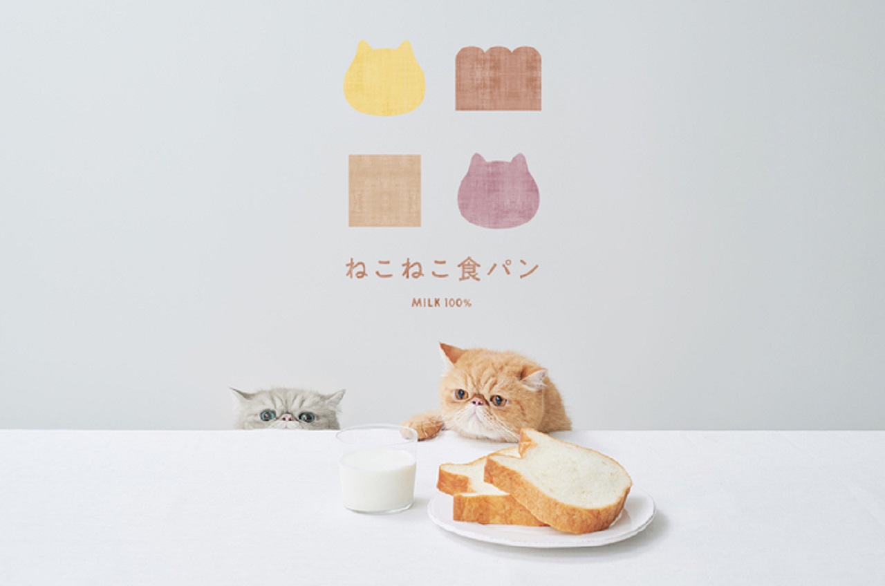 ねこの形の高級食パン専門店「ねこねこ食パン」が期間限定で福岡に登場