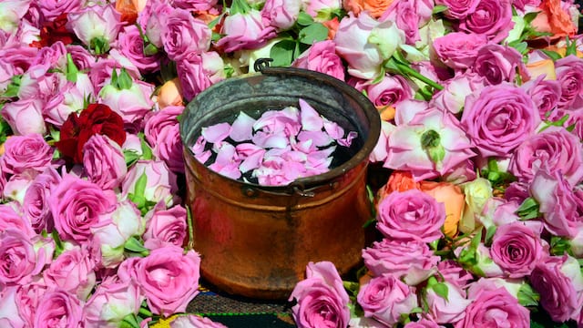 いつか見たい世界の初夏絶景 バラの香りに包まれる ブルガリア カザンラク Tabizine 人生に旅心を