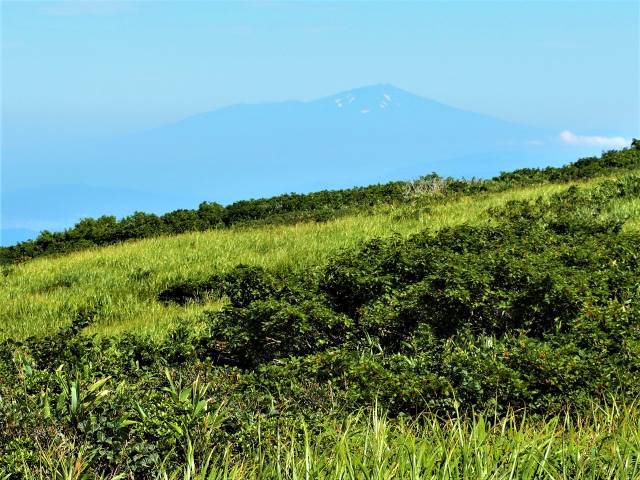 湿原越し鳥海山