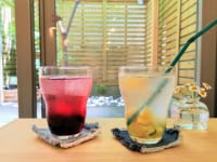 奈良オモテナシ食堂 ブルーベリー、オレンジとキウイのお酢ドリンク