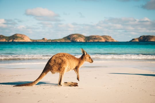 オーストラリアにはヌードビーチがある？【知ればオーストラリア雑学王5】 | TABIZINE～人生に旅心を～