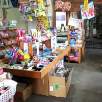 いながきの駄菓子屋探訪4坂元商店