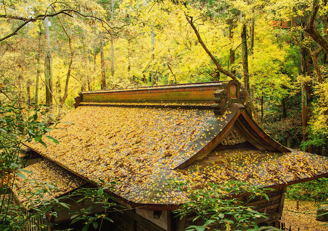 関東近郊の紅葉 自然と触れ合える 千葉県の紅葉スポット５選 Tabizine 人生に旅心を