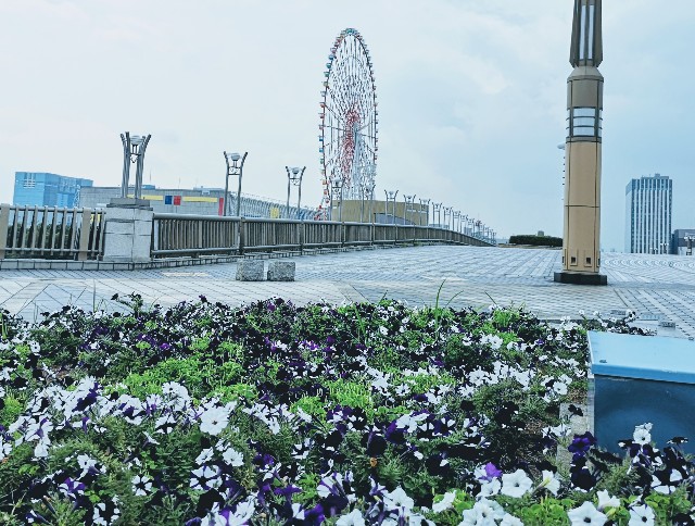 東京都お台場・「夢の大橋」からの眺め