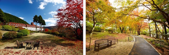 深まる秋を箱根で！この季節だけの贅沢「紅葉狩り」を満喫できるホテル4選