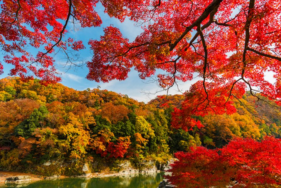 関東紅葉スポット２０２０ 秋色に染まる絶景を見に出かけよう Tabizine 人生に旅心を