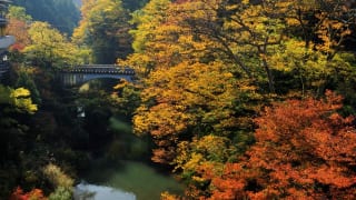 鶴仙渓1