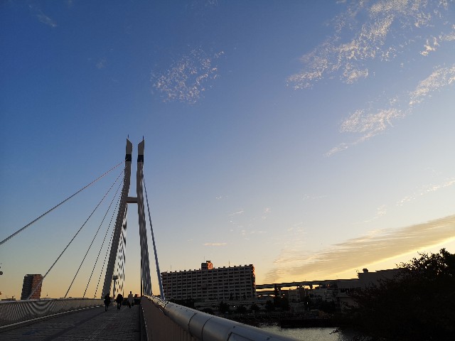 東京都・辰巳桜橋と朝の風景