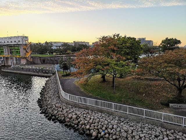 東京都・東雲水辺公園