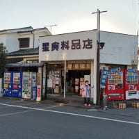 いながきの駄菓子屋探訪21星食料品店