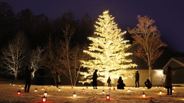 星野リゾートのクリスマス ファーム ビーチ ワイン ラーメン どれがお好み Tabizine 人生に旅心を