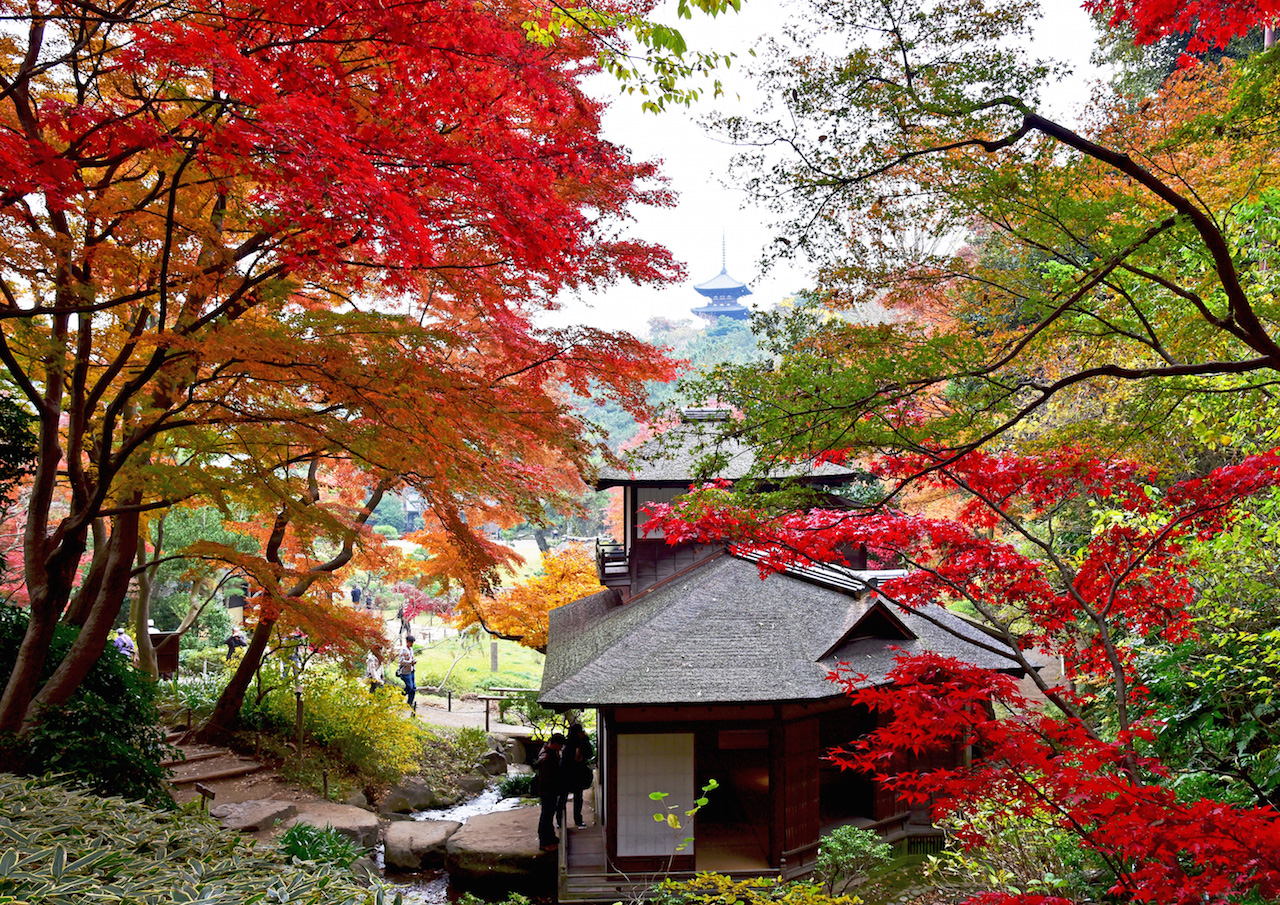 今週末 見頃を迎える紅葉スポットまとめ ２０２０年１１月２７日 Tabizine もうすっかり紅葉 の季節 赤や黄色に染まる ｄメニューニュース Nttドコモ