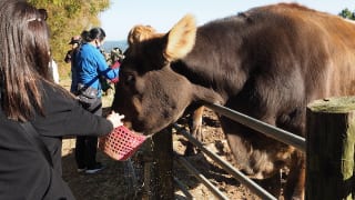 広島県三次市・平田観光農園