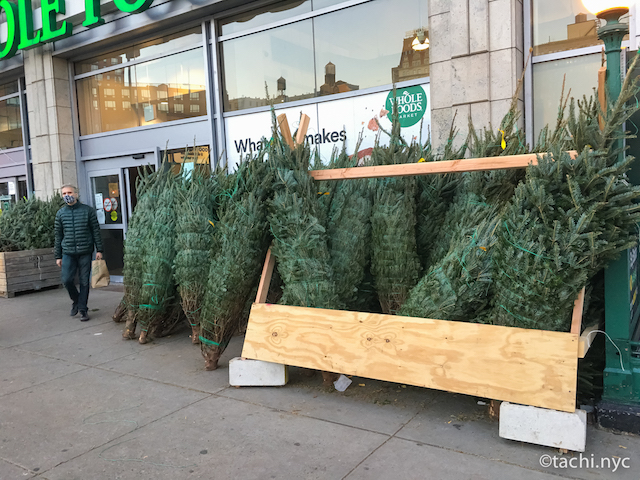 2020年　クリスマスツリー（もみの木）販売所1