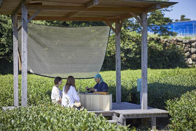 茶畑のど真ん中でお茶を満喫！静岡の密にならない絶景カフェ「茶の間」