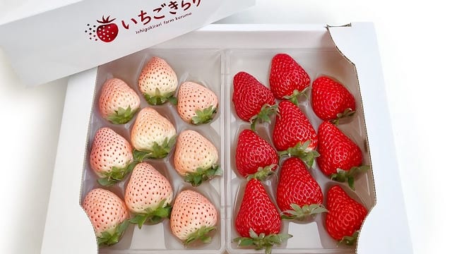 375590-10-640x360.jpg