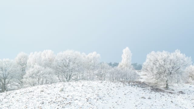 世界冬の絶景 オランダ最古の国立公園 フェルウェゾーム国立公園 の雪景色 Tabizine 人生に旅心を