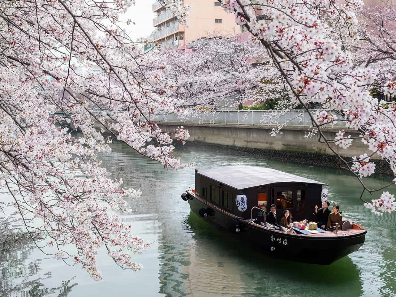 密にならずに桜を堪能！星野リゾートの「都内で楽しめる おこもり花見」