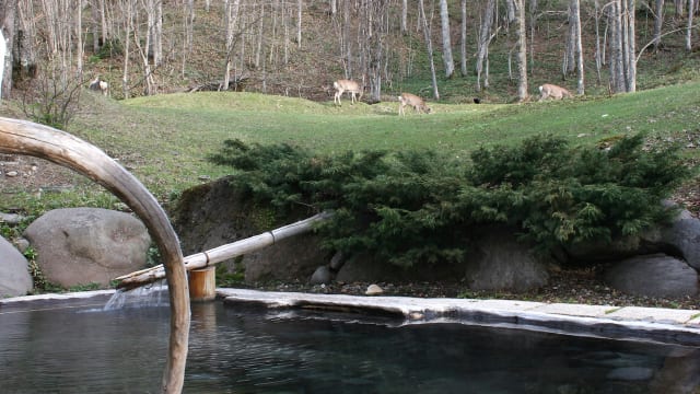 希少価値 全国の混浴温泉 満天の星を見上げる露天風呂 糠平温泉中村屋 北海道 Tabizine 人生に旅心を