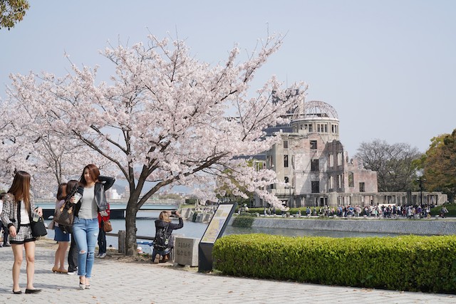 広島県平和記念公園の桜