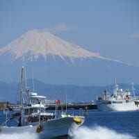 駿河湾と富士山（焼津港）