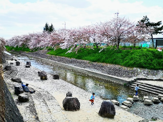 奈良県奈良市「佐保川の桜並木」川縁の遊び場