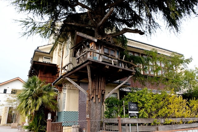 愛媛県松山市三津カフェ