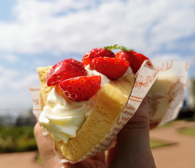 東京・恵比寿スチーム⽣⾷パン専⾨店「STEAM BREAD EBISU(スチームブレッド エビス)」あふれでるクリームの#フルーツスチパンサンド(横)