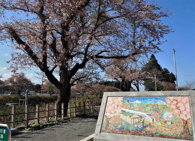 桜とタイル画