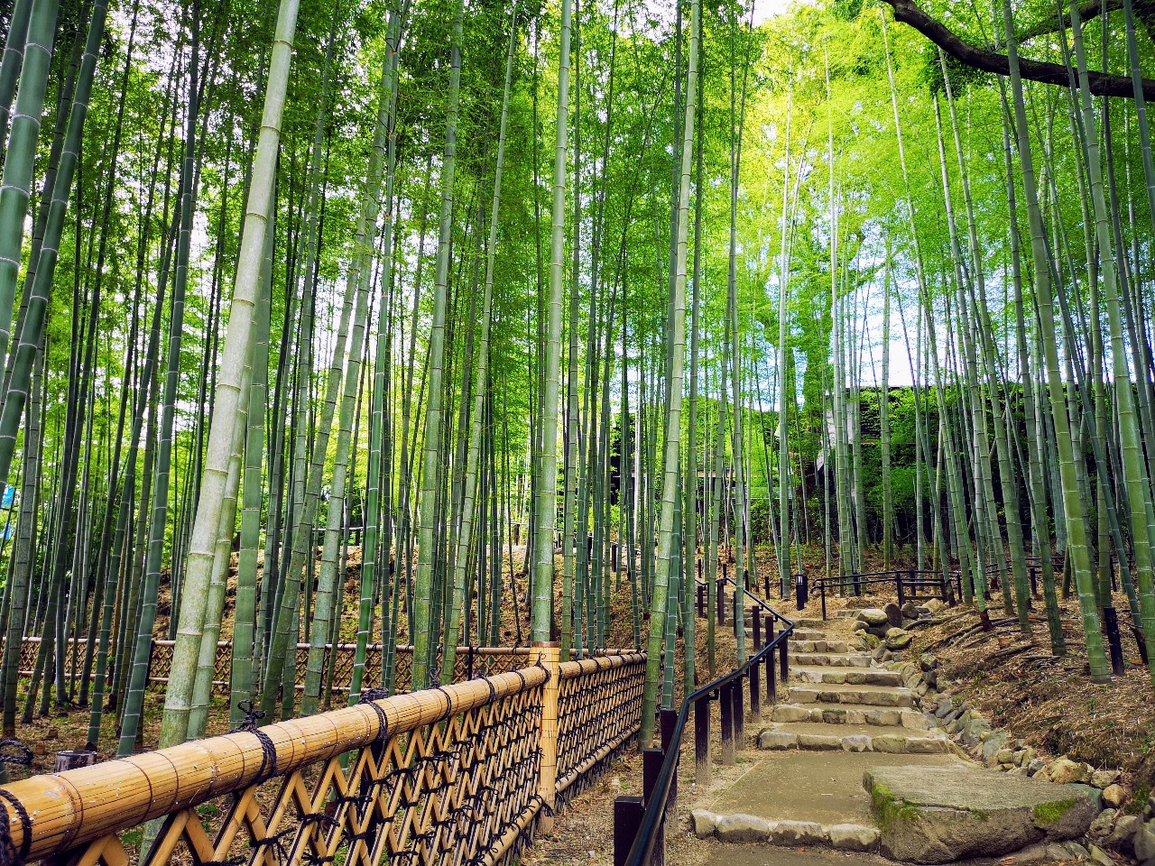 【奈良のおすすめお出かけスポットまとめ】自然や歴史、町の散策、カフェまで、ゆるりと憩う１７選