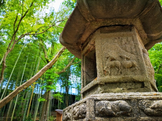 奈良県「瑜伽山園地 旧山口氏南都別邸庭園」石の灯籠