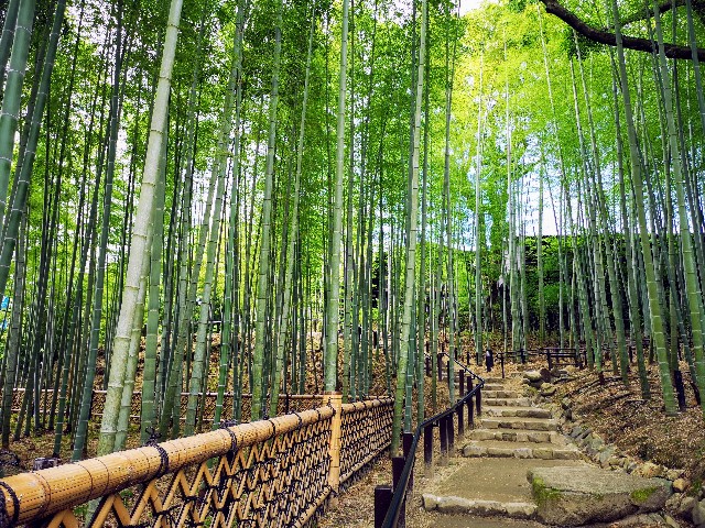 奈良のおすすめお出かけスポットまとめ 自然や歴史 町の散策 カフェまで ゆるりと憩う１７選 Tabizine 人生に旅心を