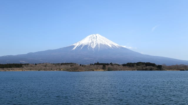 サイクリング、静岡茶、地ビール、神社、美術館・・・見どころ満載の富士山周辺を遊び尽くす【静岡県】