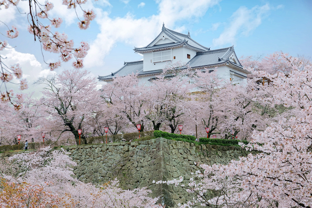 岡山県津山市津山城