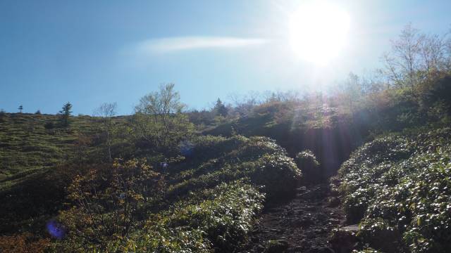 登山道と日差し