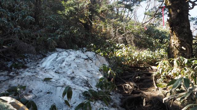 日陰の残雪