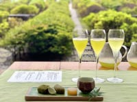 界 遠州 煎茶ヌーボーセット