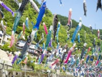 熊本県杖立温泉 鯉のぼり祭り