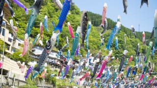 熊本県杖立温泉 鯉のぼり祭り