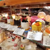 いながきの駄菓子屋探訪49栃木県下野市Sango-Papa1