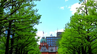 北海道札幌市北3条広場2