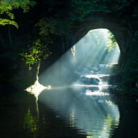 濃溝の滝・亀岩の洞窟（千葉県君津市）