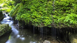 神庭の滝（岡山県）