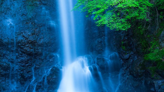 コイキング RRR 美しい滝背景 秋の滝 | GANREF