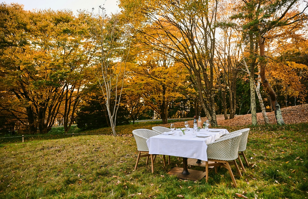 秋色の森に現れたテーブルでフレンチのコース料理を楽しむ【ひらまつホテル】