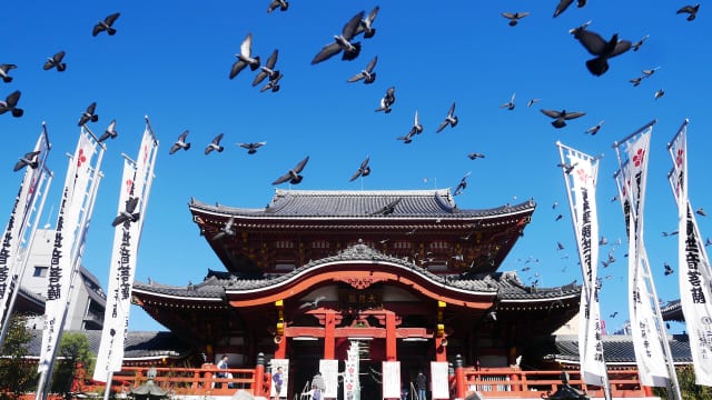 実はこれが日本一 お寺の数が一番多い都道府県は京都でも東京でもなくあの県だった Tabizine 人生に旅心を