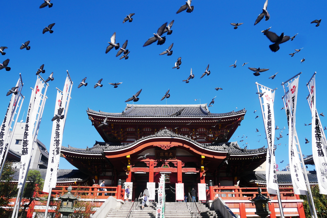 【実はこれが日本一】お寺の数が一番多い都道府県は京都でも東京でもなくあの県だった！