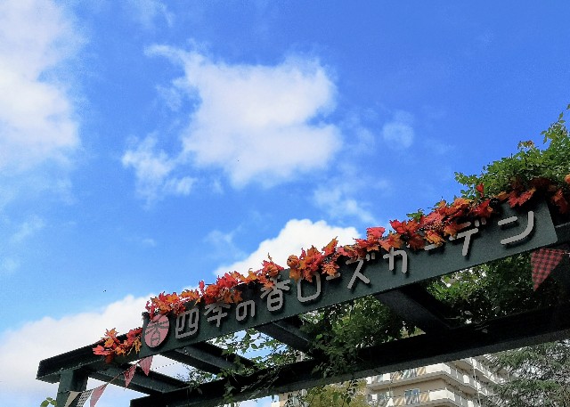 東京都練馬区・練馬区立　四季の香ローズガーデン「香りのローズガーデン」入口2