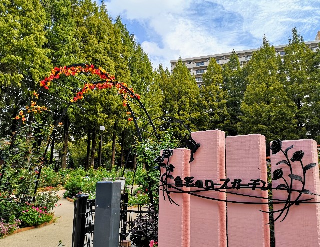 東京都練馬区・練馬区立　四季の香ローズガーデン「色彩のローズガーデン」