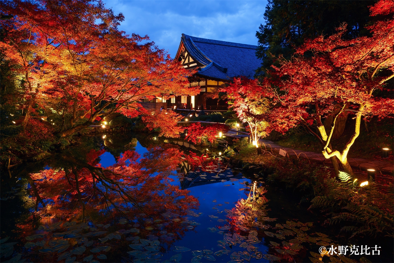 【京都】通常非公開の書院や庭園が公開「くろ谷　金戒光明寺」秋の特別拝観